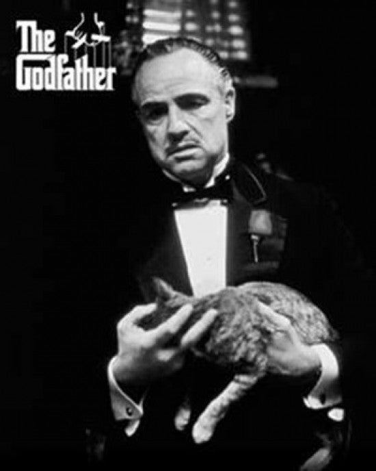 Godfather - Cat Black and White Poster Print