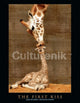First Kiss - Giraffes Poster Print - 20x16 Rolled Artwork