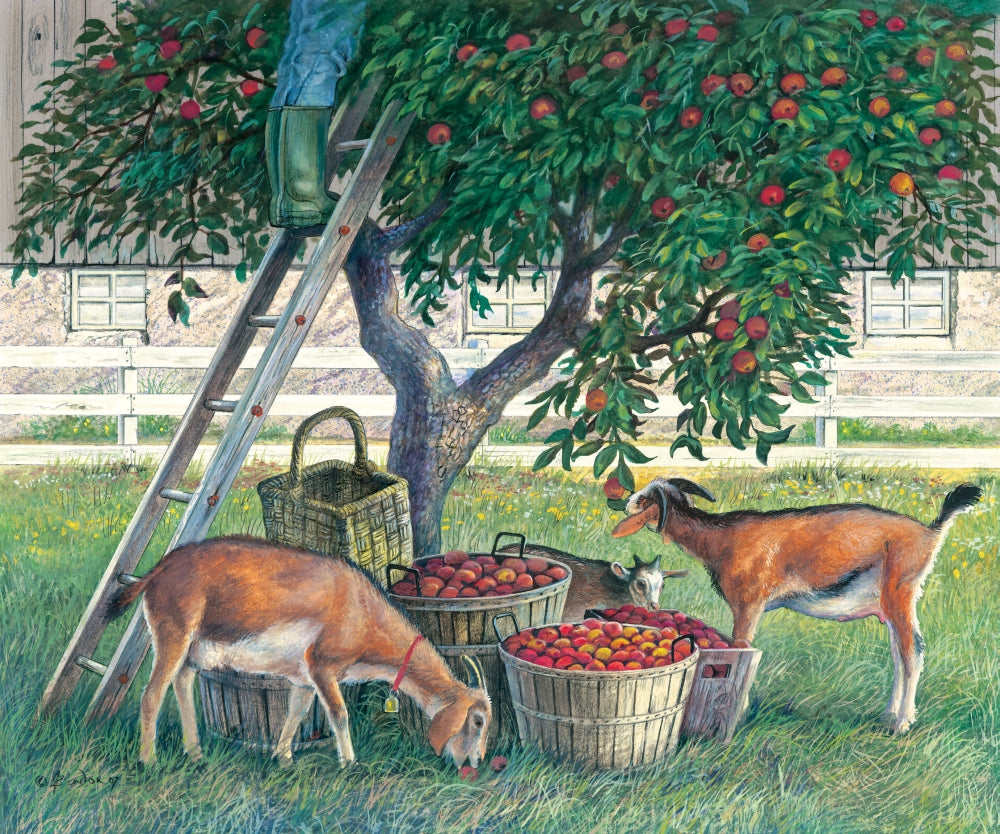 Apple Lovers - Goats Poster Print by John Bindon featuring playful goats and apple trees.
