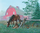 Quiet Morning - Horse and Foal Poster Print by John Bindon