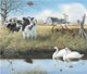 Stream Companions Poster Print featuring swans and cows by John Bindon.
