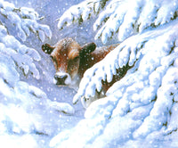 Winter Wonderland Poster Print by John Bindon showcasing a tranquil snow-covered landscape.
