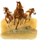Horse T-Shirt Design Poster Print by John Bindon
