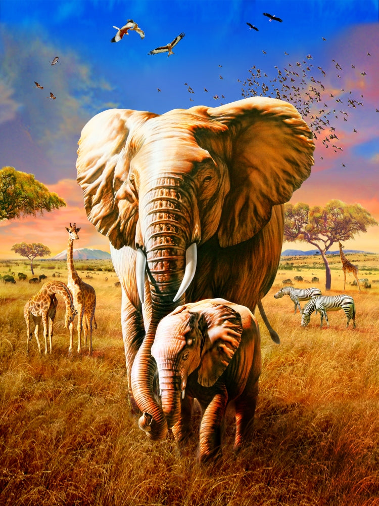 Elephant Poster Print by Adrian Chesterman - Stunning Wildlife Art