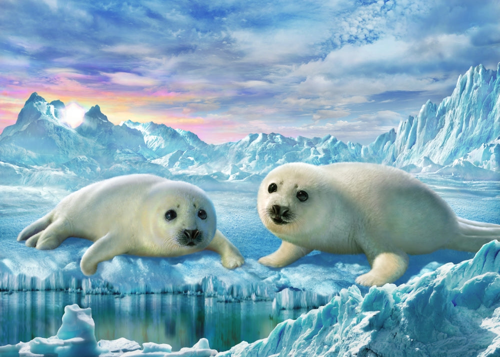 Seal Pups Poster Print by Adrian Chesterman, showcasing playful marine animals.