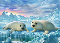 Seal Pups Poster Print by Adrian Chesterman, showcasing playful marine animals.