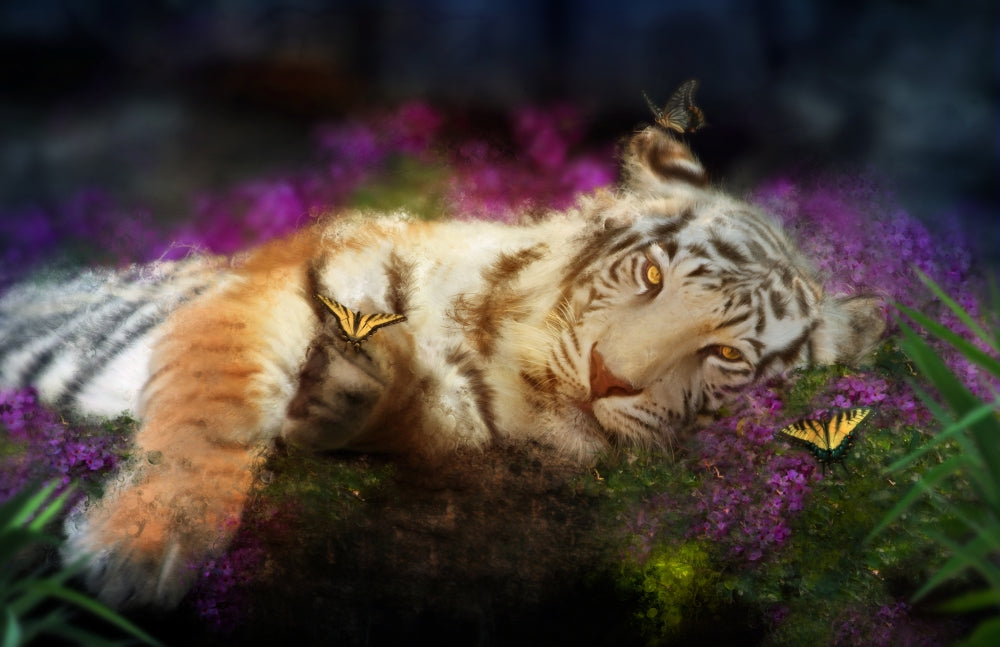 Tiger Dreams poster print by Aimee Stewart featuring a vibrant tiger in a dreamlike landscape.