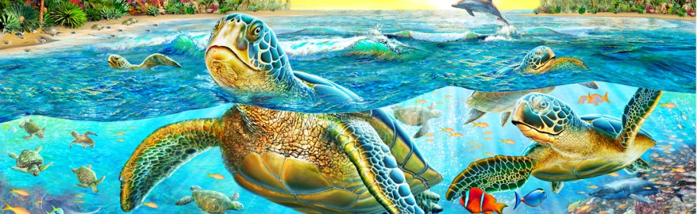 Turtle Cove Poster Print by Adrian Chesterman showcasing a serene nature scene.
