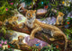 Tree Top Leopard Family Poster Print by Jan Patrick featuring leopards in a tree.
