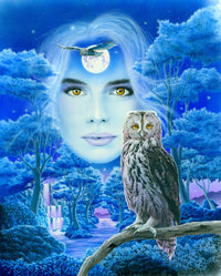 Flight of the Owls Poster Print by Robin Koni, nature art
