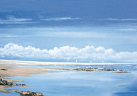 Winchelsea Gulls Poster Print featuring seagulls over water by Steve Crisp.