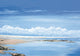 Winchelsea Gulls Poster Print featuring seagulls over water by Steve Crisp.