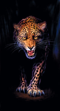Prowling Leopard Poster Print by Andrew Farley showing detailed leopard artwork.
