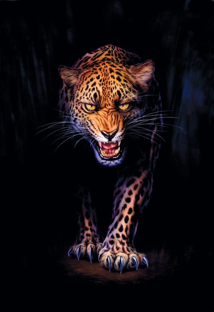 Prowling Leopard Crop Poster Print by Andrew Farley, showcasing a majestic leopard in a striking design.