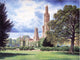 Hadlow Tower Poster Print by Steve Crisp, showcasing the iconic tower in vibrant colors.