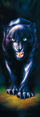 Stalking Panther Poster Print by Andrew Farley showcasing a majestic panther.
