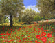 Andalucian Poppies Poster Print by Richard Harpum showcasing beautiful floral art.