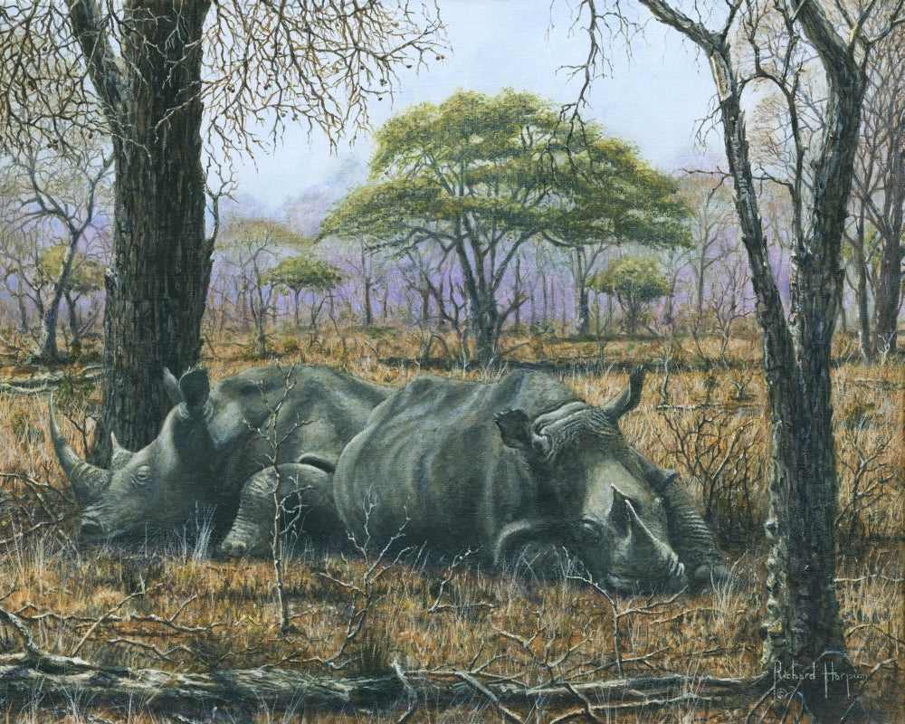 Sabi Sand Siesta Poster Print by Richard Harpum showcasing a serene landscape.