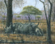 Sabi Sand Siesta Poster Print by Richard Harpum showcasing a serene landscape.