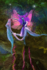 Mysterious Dancing Aurora Poster Print by Aimee Stewart