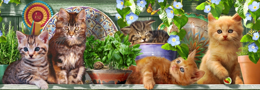 Kitchen Cats Poster Print by Adrian Chesterman - whimsical cat art for kitchen decor.