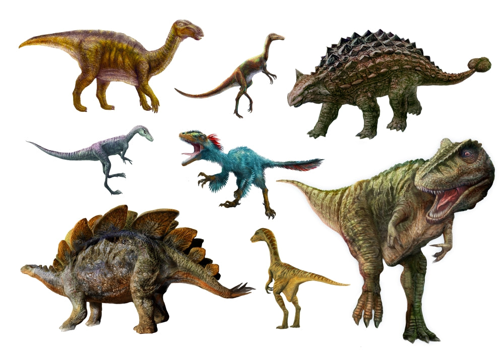 Dinosaur Collection 3 Poster Print by Jan Patrick featuring colorful dinosaur illustrations.