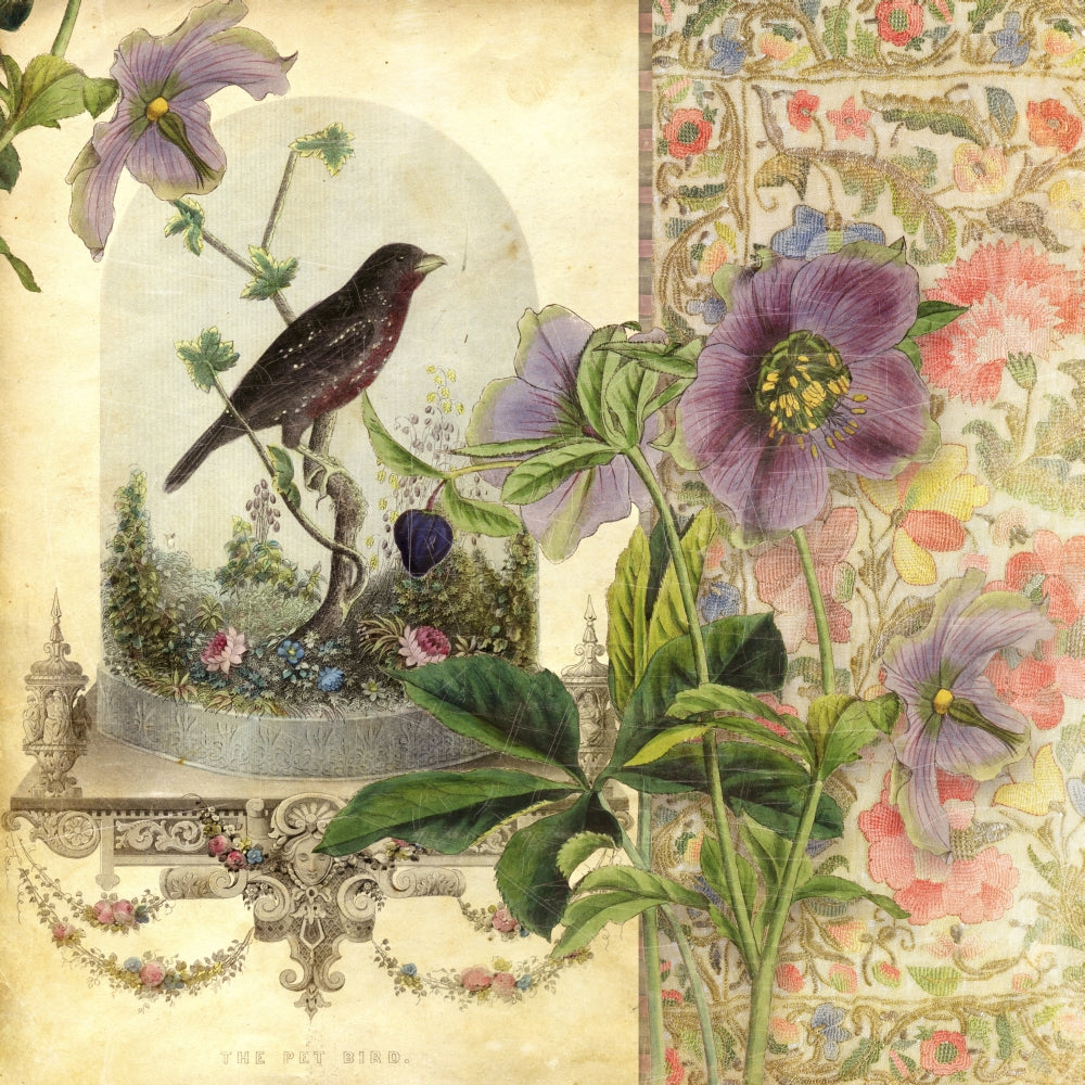 The Pet Bird Poster Print by Aimee Stewart showcasing colorful pet birds.