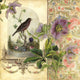 The Pet Bird Poster Print by Aimee Stewart showcasing colorful pet birds.
