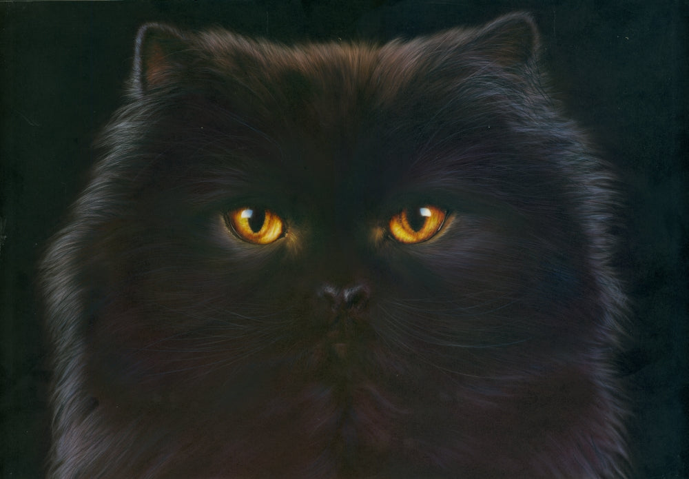 Black Persian Poster Print by Andrew Farley showcasing an elegant cat design.