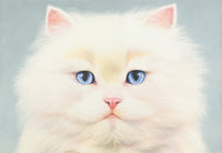 White Persian Poster Print by Andrew Farley, featuring a majestic cat.