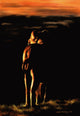 Lioness at Night Poster Print by Sarah Stribbling showcasing a lioness in moonlight.