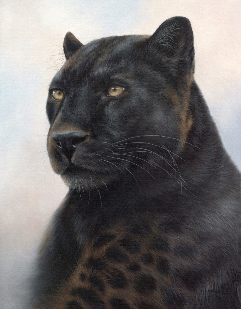 Black Leopard Portrait Poster Print by Rachel Stribbling
