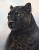Black Leopard Portrait Poster Print by Rachel Stribbling