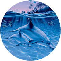 Mother & Baby Dolphin Poster Print featuring marine life by Robin Koni