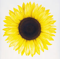 Sunflower Poster Print by Robin Koni - Floral Art