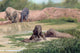 Asian Elephants Poster Print by Rachel Stribbling, featuring majestic elephants in a tranquil setting.