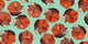 Curled Fox Polka Mint Poster Print by Sharon Turner featuring a playful fox with polka dots.