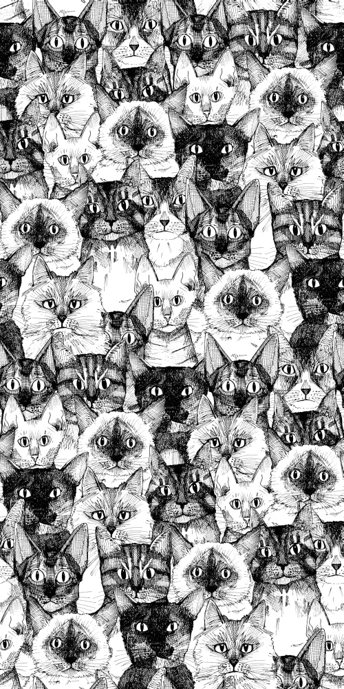 Just Cats Poster Print by Sharon Turner featuring playful feline artwork.