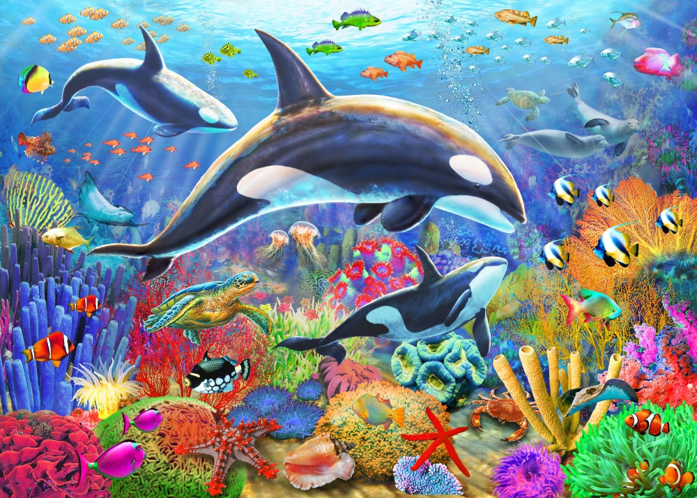 Orca Fun Poster Print by Adrian Chesterman showcasing vibrant marine life.