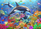Orca Fun Poster Print by Adrian Chesterman showcasing vibrant marine life.