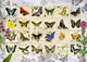 Butterfly Stamps Poster Print by Aimee Stewart with colorful butterfly designs.
