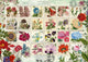 Flower Stamps Poster Print by Aimee Stewart featuring colorful floral designs