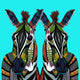 Zebra Love poster print by Sharon Turner showcasing beautiful zebra artwork.