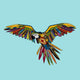 Harlequin Parrot Poster Print by Sharon Turner showcasing vibrant colors.
