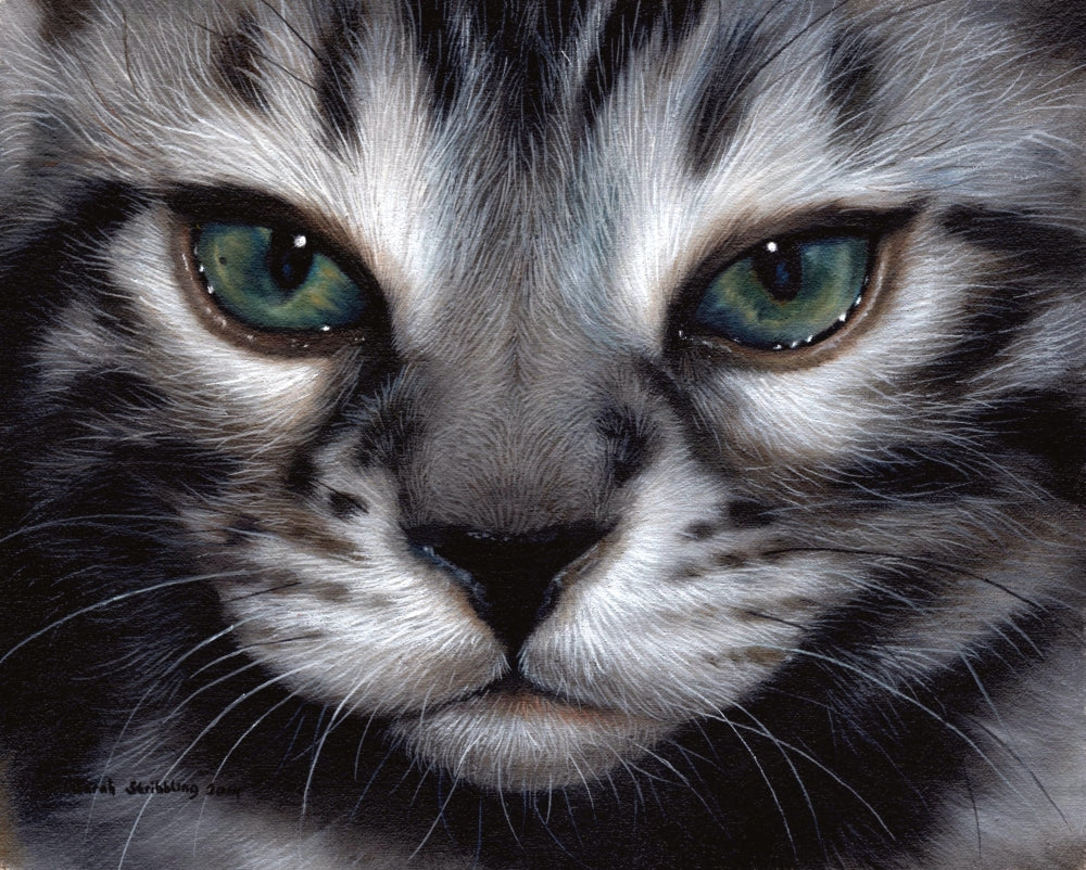 Silver Bengal Cat Poster Print by Sarah Stribbling showcasing intricate details.