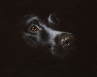 Black Labrador Poster Print by Rachel Stribbling
