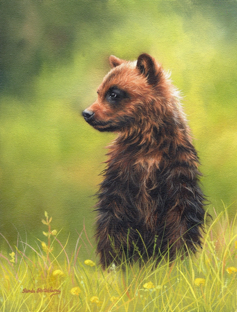 Brown Bear Cub Poster Print by Sarah Stribbling showcasing a charming bear cub.