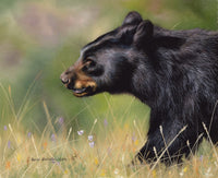 Black Bear Walking Poster Print by Sarah Stribbling, wildlife art
