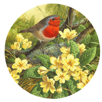 Robin and Primrose Poster Print by John Francis featuring vibrant colors and nature theme.