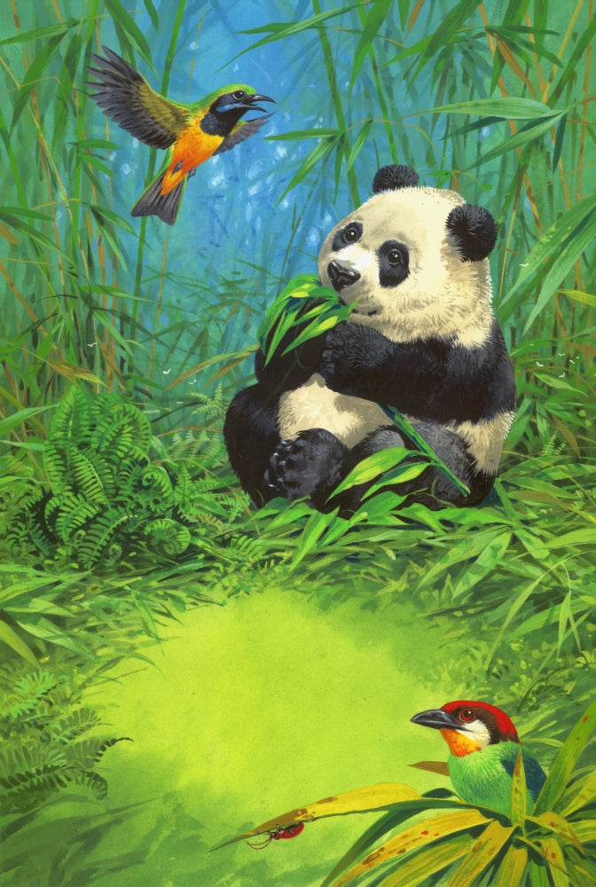 Sitting Panda Poster Print by John Francis, adorable panda artwork.